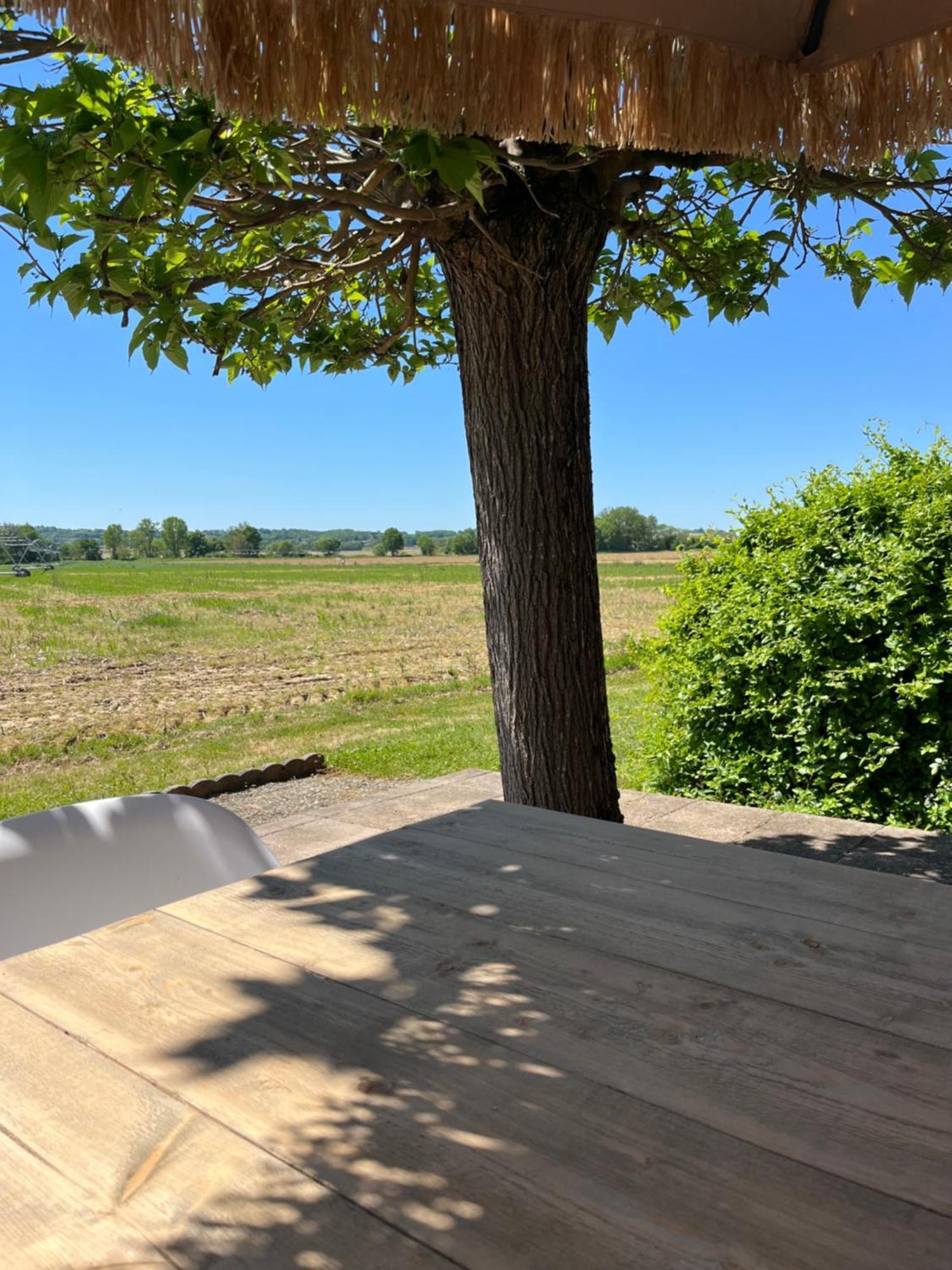 Gite 1, Domaine Logis Gascogne Saint-Justin  Экстерьер фото